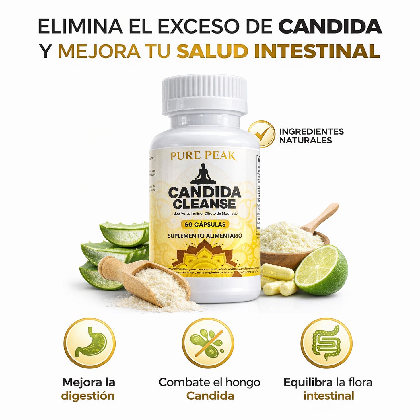 🌿 Candida Cleanse