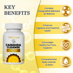 🌿 Candida Cleanse